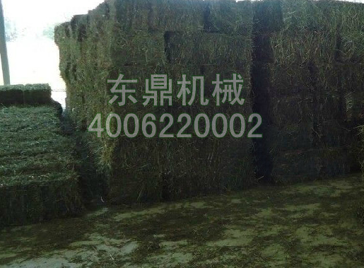 网带牧草烘干机
